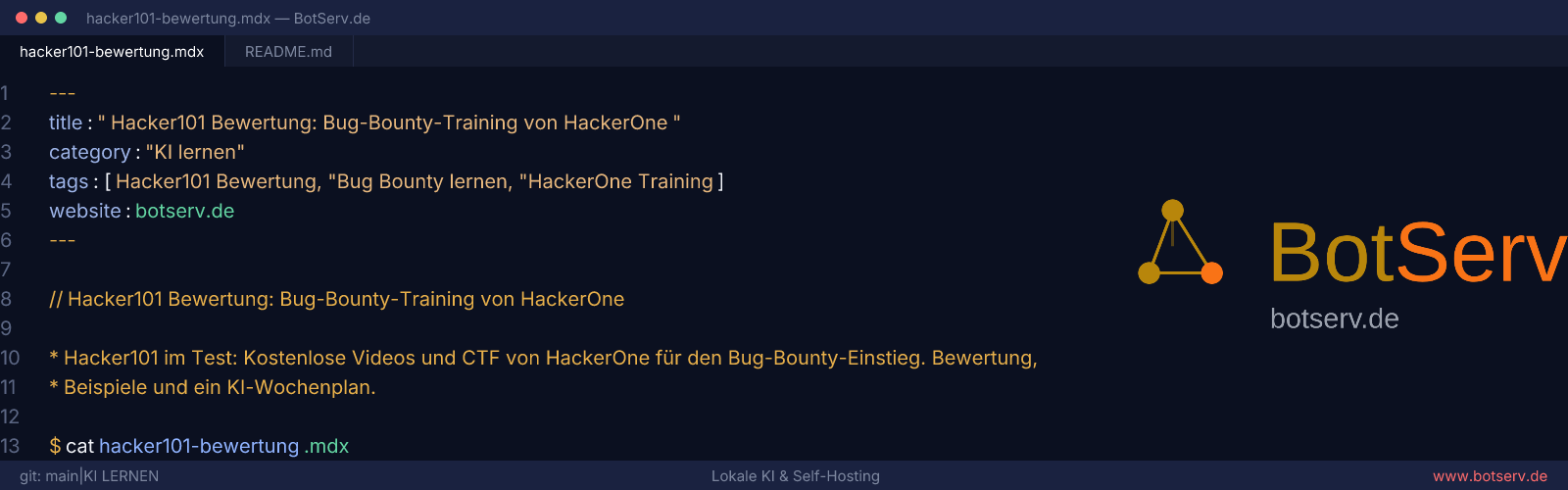 Hacker101 Bewertung: kostenloses Bug-Bounty-Training von HackerOne