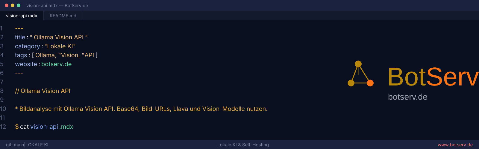 Ollama Vision API